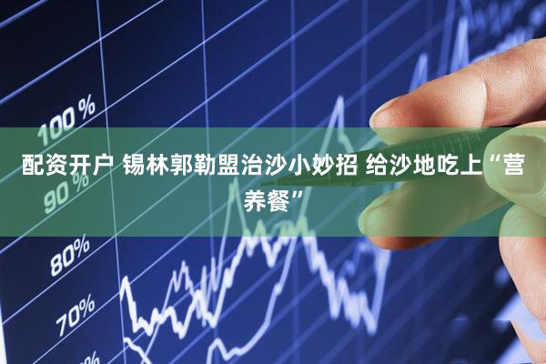 配资开户 锡林郭勒盟治沙小妙招 给沙地吃上“营养餐”