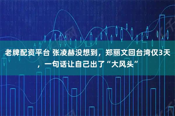 老牌配资平台 张凌赫没想到，郑丽文回台湾仅3天，一句话让自己出了“大风头”
